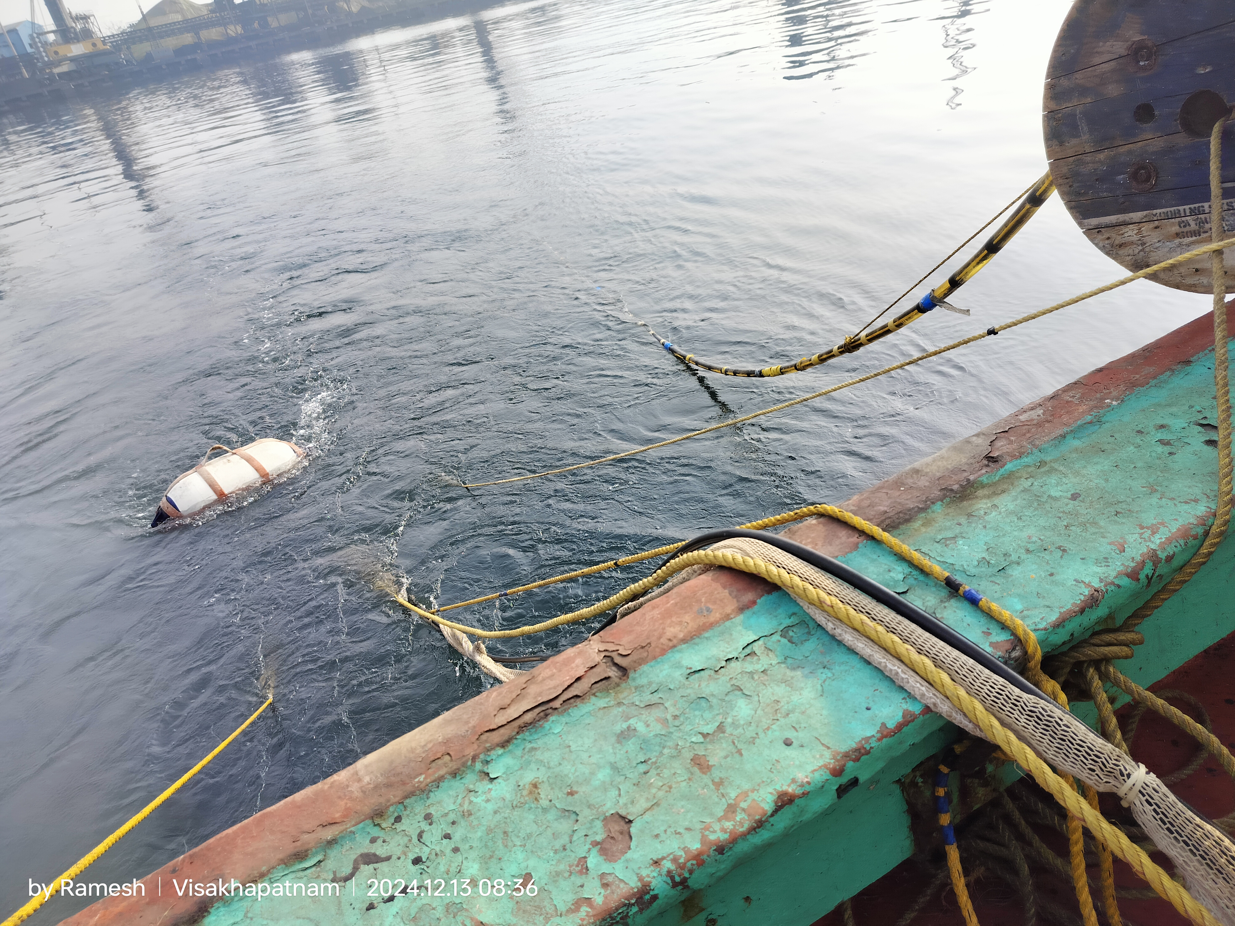 Marine Seismic Survey